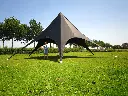 Zwarte stervormige partytent 10 meter