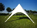 Elegante witte stertent 12 m voor evenementen