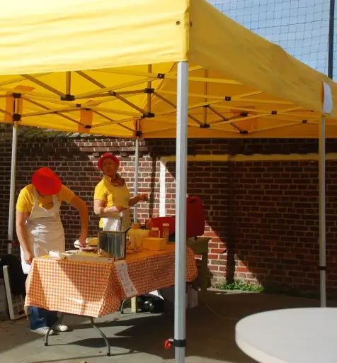 Einde reeks: vouwtent 4 x 8 m Solid 50 geel